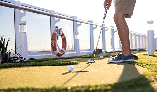 Golf Net